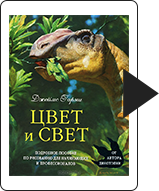 libros-para-diseñadores