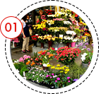 Blumenladen