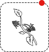 Blumenladen