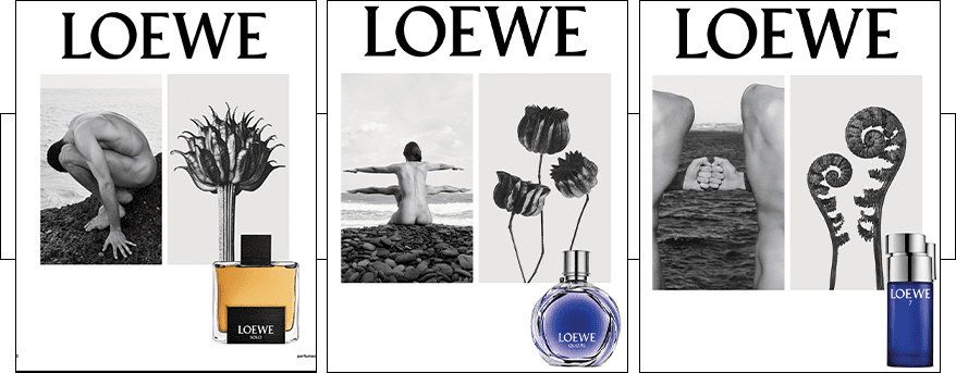 loewe