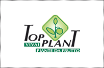 Logotipo de vivero de plantas