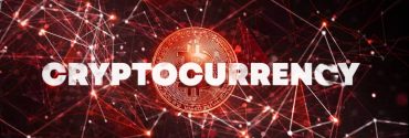 Cryptocurrency business: how to create your own coin and make money